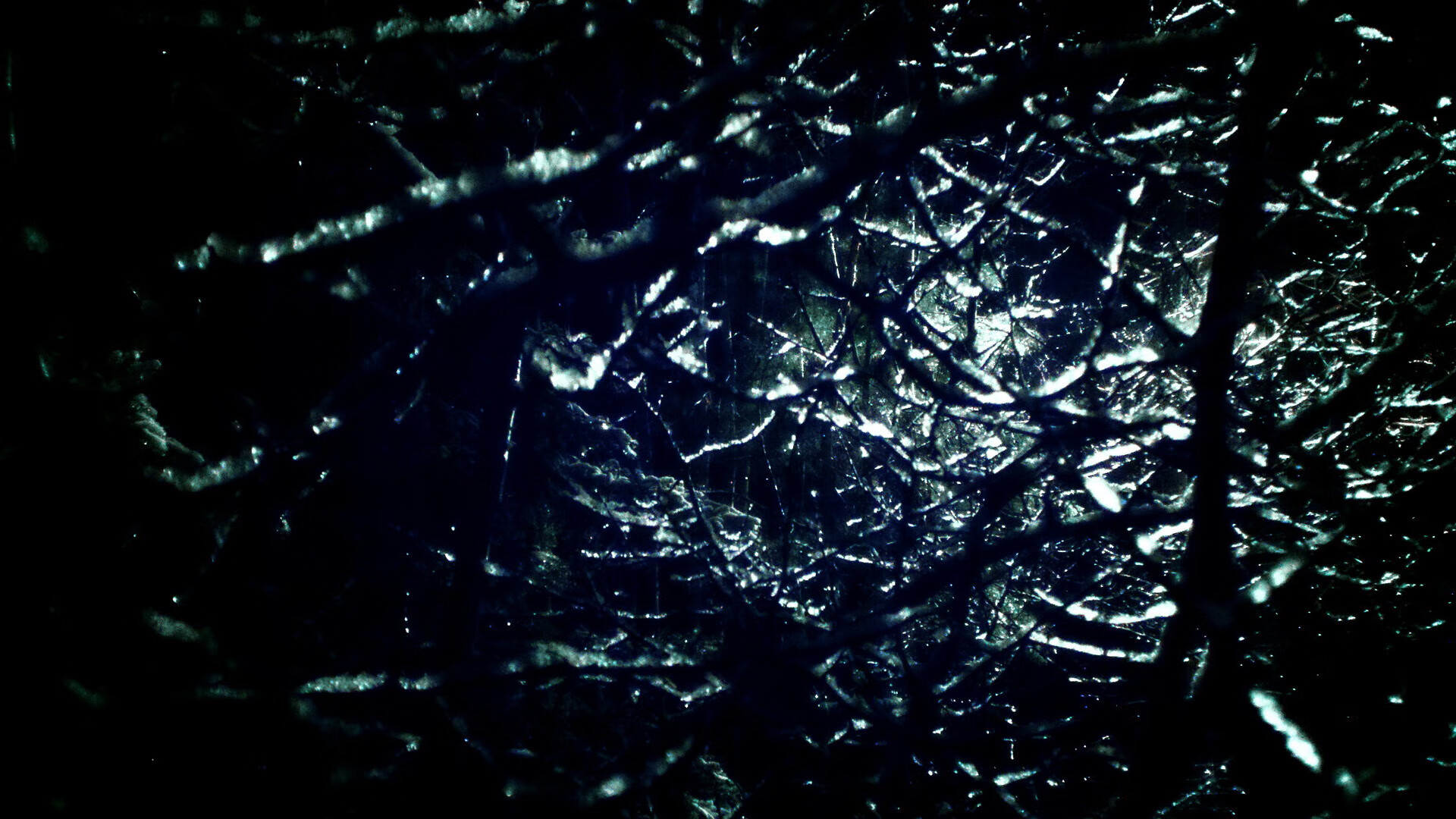 开云体育入口-新西兰强压尼日利亚，加克波关键时刻站出来！球星价值在绝境中闪耀