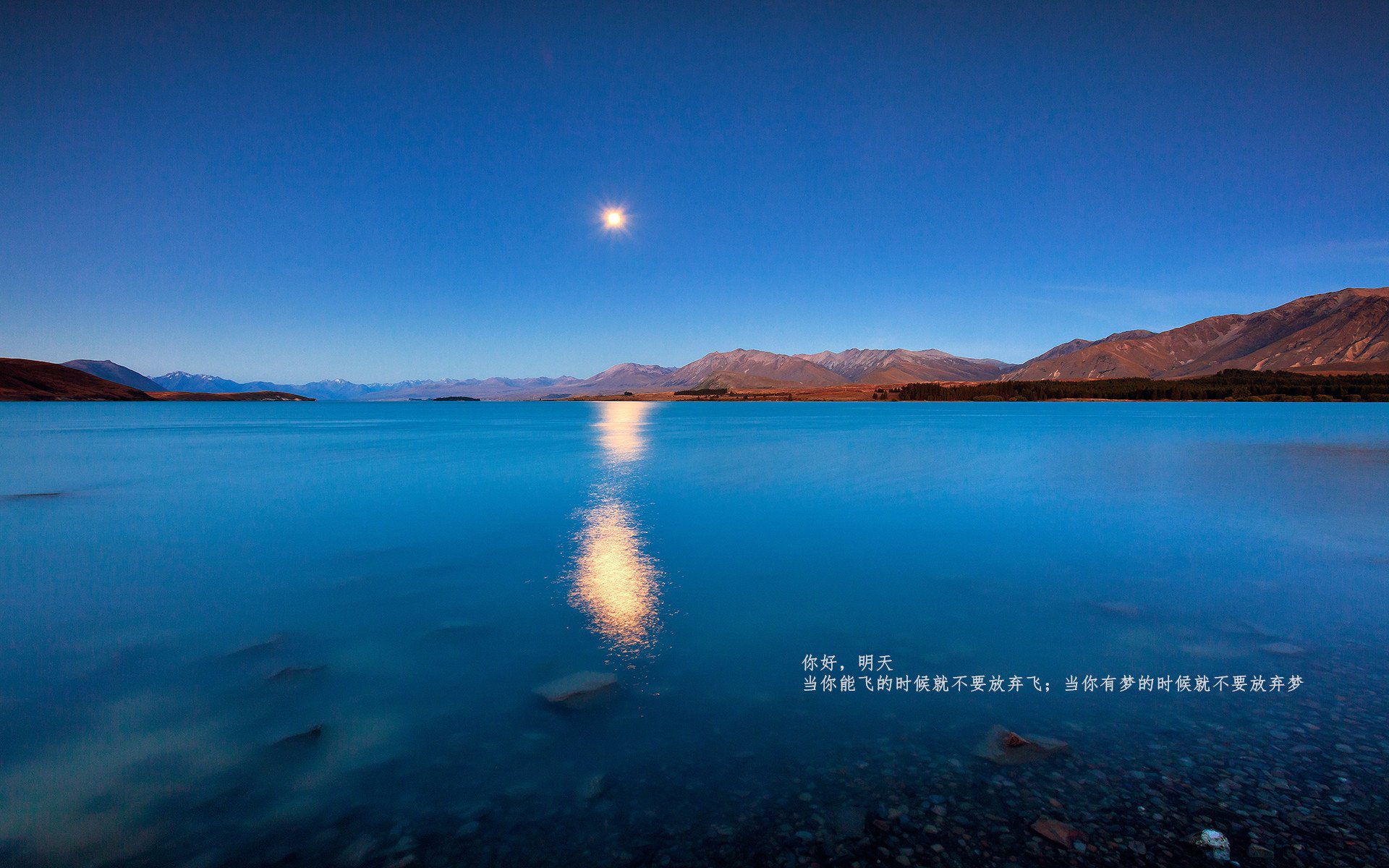 开云体育官网-福克斯让对手无解，深圳队强压北京队！京深大战背后的篮球哲学