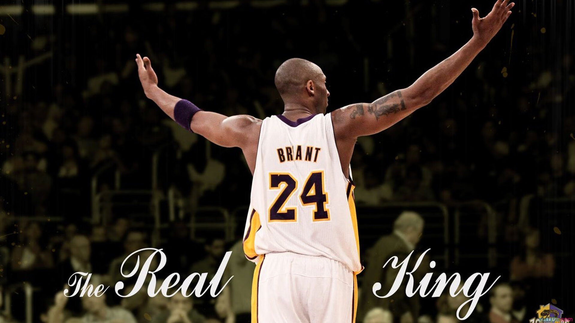 开云体育APP下载-西亚卡姆进攻端无人可挡！上海队轻取深圳队，外援统治力引爆CBA赛场